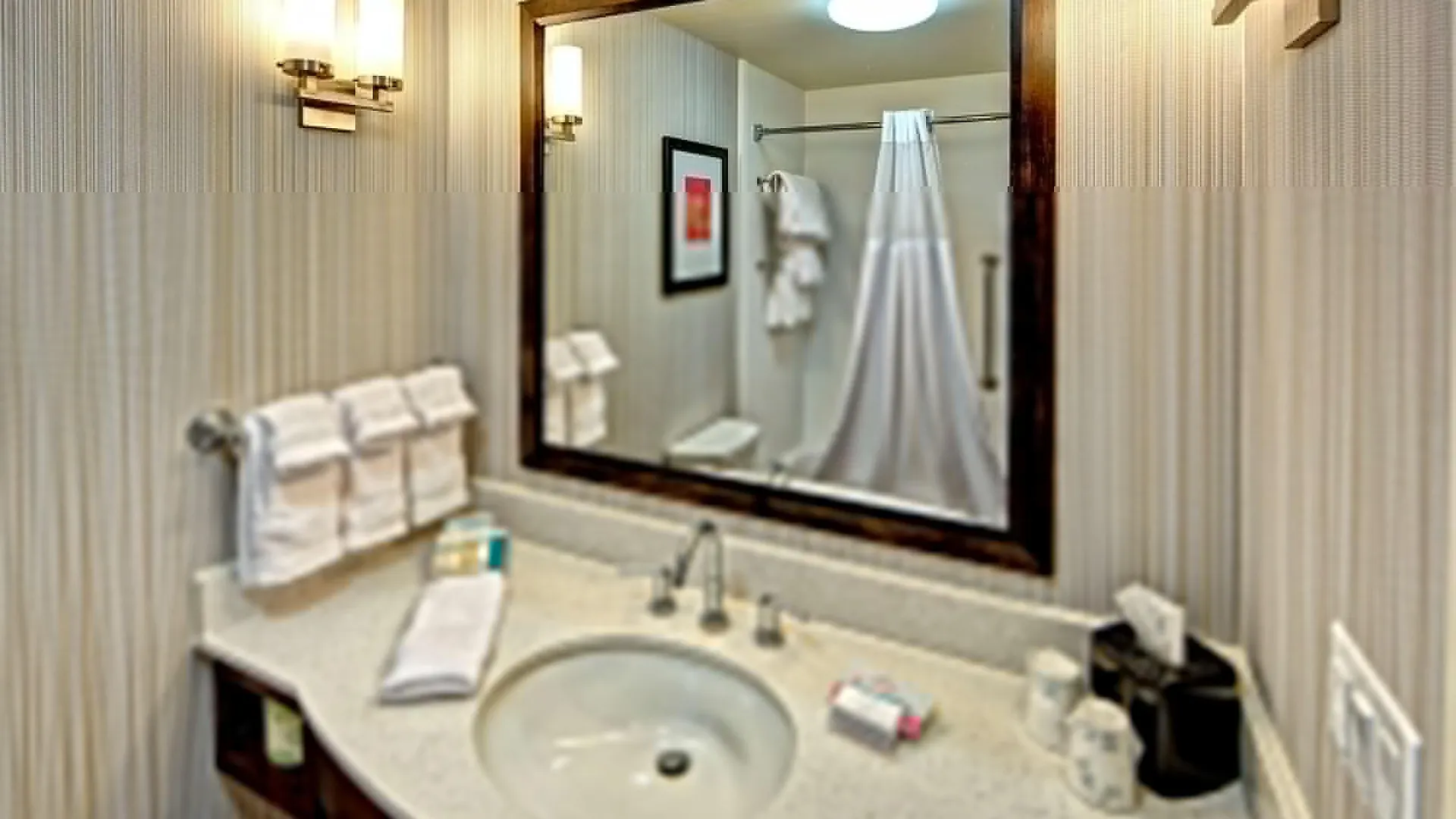 Hotel Hilton Garden Inn Memphis/Wolfchase Galleria