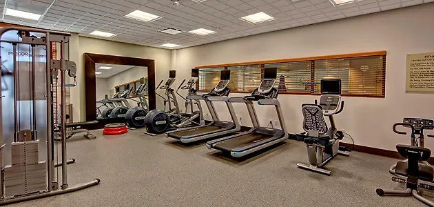 *** Hotel Hilton Garden Inn Memphis/Wolfchase Galleria United States